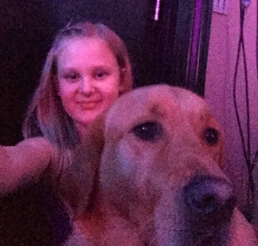 ShakespearePups's tweet photo. Sophie and Guide Dog Dollar #prideofstratford @guidedogs https://t.co/EqztyicPuH