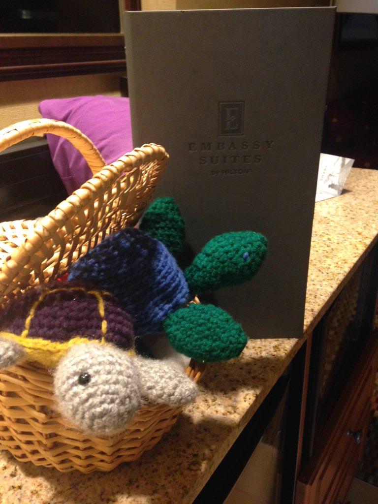 ScrappyCturtle's tweet image. Hello #SWEC2016 we arrived!  #RegionCTurtle #UNTSWE