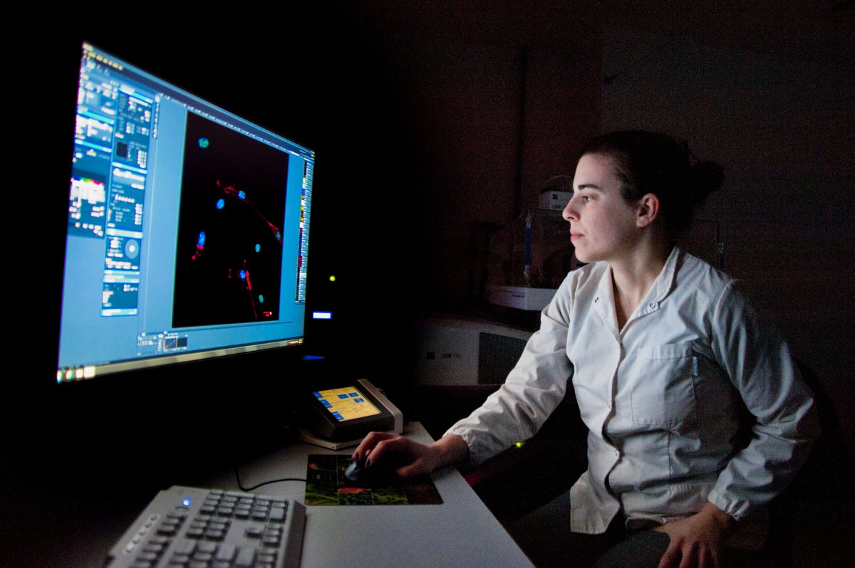 Secretaría de Innovación, Ciencia y Tecnología tweet media