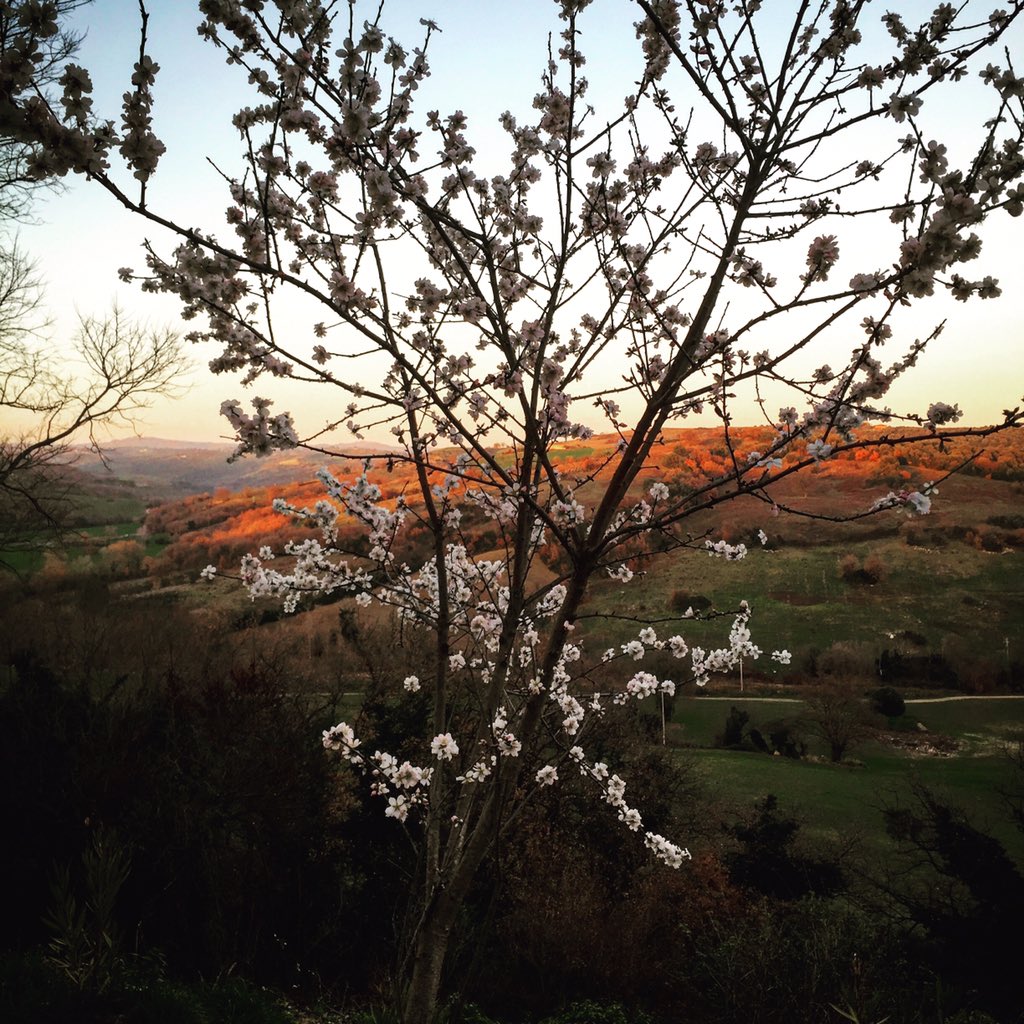 tartarughebb's tweet photo. #letartarughebb https://t.co/ukoxCM6dPZ