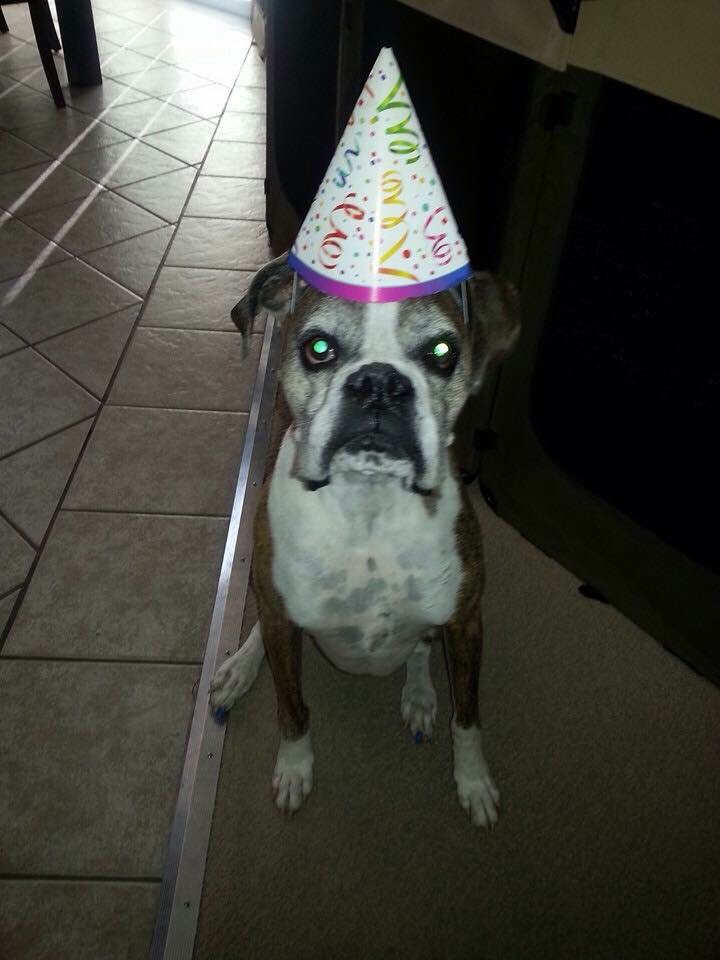 #Happy 11th #Birthday Gage!!!