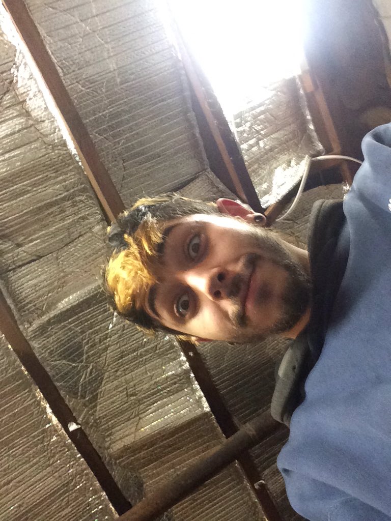 DamienTheLion's tweet photo. Time to trim it https://t.co/kKKoAyG5jZ