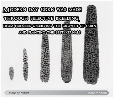 KennyRose22's tweet photo. #drcrls201 #ScienceBenefits https://t.co/v4RosZJRVm