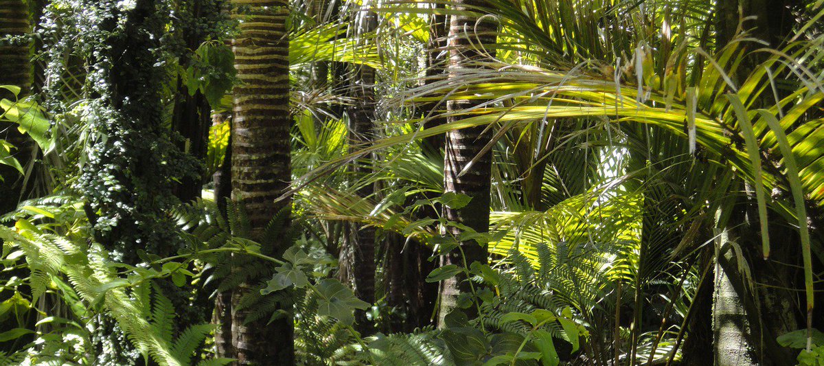 Foraker Labs tweet media