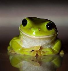 MinjaSam's tweet photo. Eu estou aqui para lhe ajudar como um ninja. Lembre-se disso! https://t.co/km5TvGWGtb
