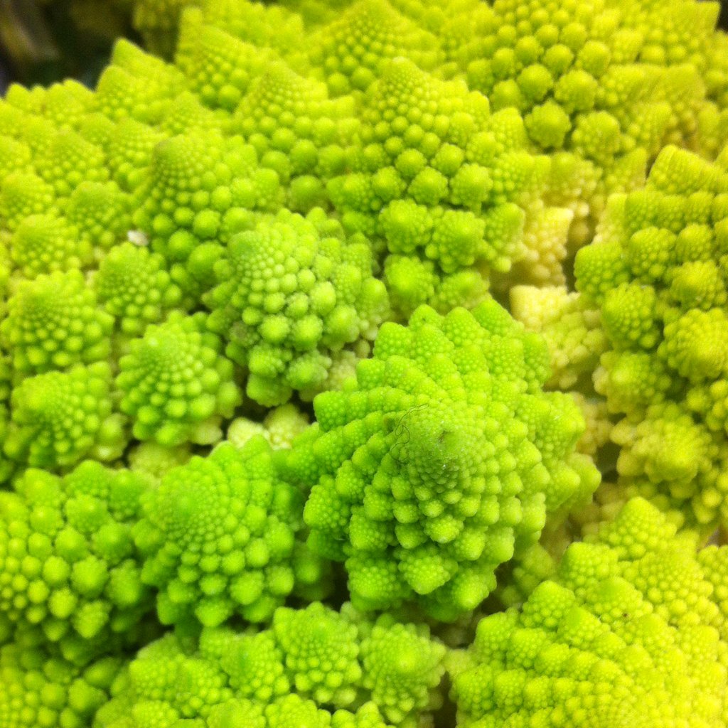 _Nitzs_'s tweet photo. Geometrías vegetales. 

@MarioSanjuan3 @20000streetsky @dlandinez https://t.co/dCycRFrKko