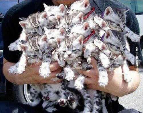 9GAG's tweet photo. This is what I want for valentines day
https://t.co/TtyV3S2Plq https://t.co/1vvJeazxr3