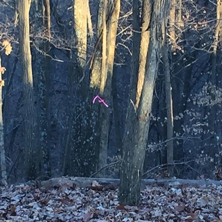 GorcTrails's tweet photo. When you see it.... Wait till you see what happens next (pending approval). #stlmtb #trail… https://t.co/m8kpfd4aBP https://t.co/EWVyv9ANoq