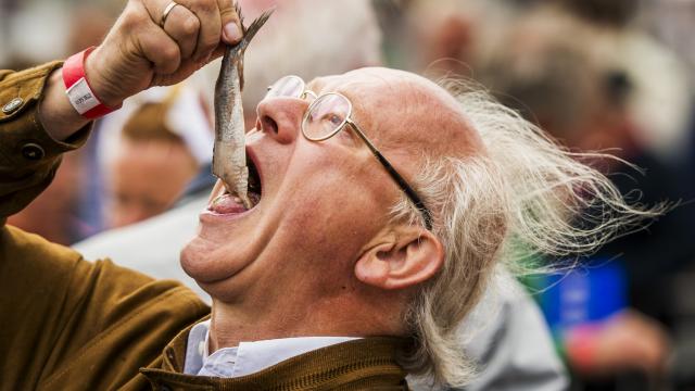 dezeekust's tweet photo. Altijd lastig lezen als vader binnen half jaar overlijdt...
https://t.co/EZRszqwrqb

#dezeekust #alzheimer #entoch https://t.co/cnqJ44xdLU