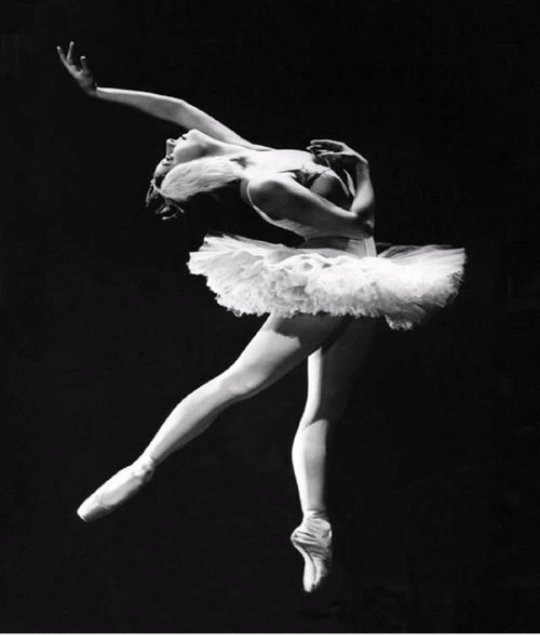 danzaespasion's tweet photo. Ballet,  admira mucho las bailarines se ballet.  Una de las mejores bailarinas Eleonora Cassano junto con Julio Boca https://t.co/ZeJQsQZfXf