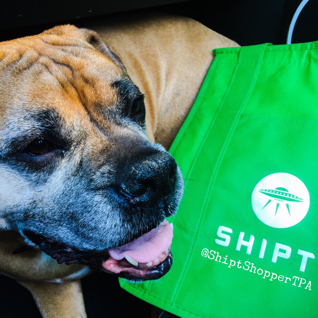 ShiptShopperTPA's tweet photo. #DiggyDiesel is #smiling because his mommy uses @Shipt #ShiptLife #AffordableLuxury #dog https://t.co/o0PO0rt5yM https://t.co/hQxM1VwXaE