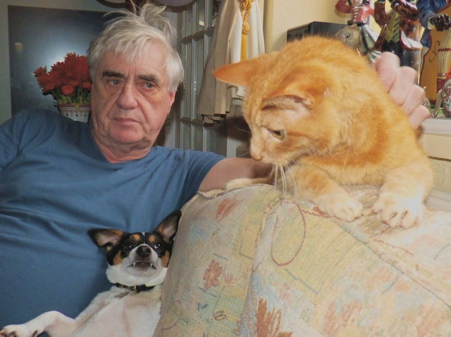 Adoptalos Chile tweet media