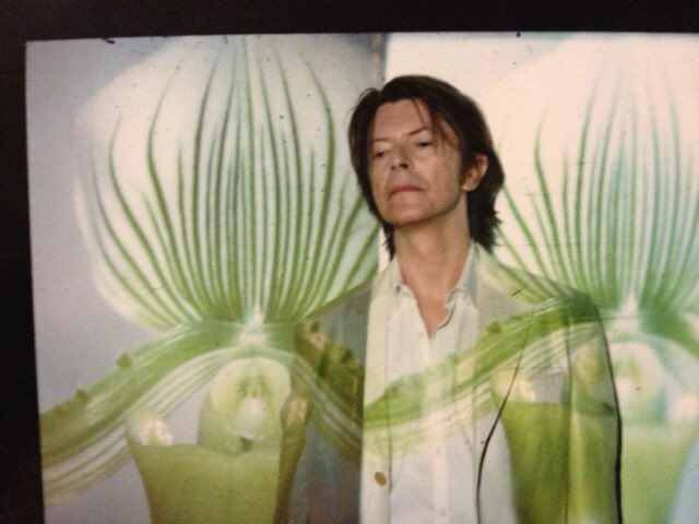 David Bowie #album cover #artwork #hours #legend #thinwhiteduke