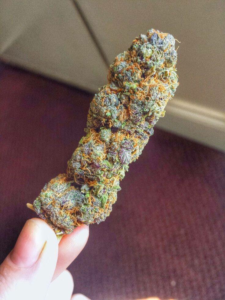 Marijuana Fan Page (@marijuanatwts) on Twitter photo 