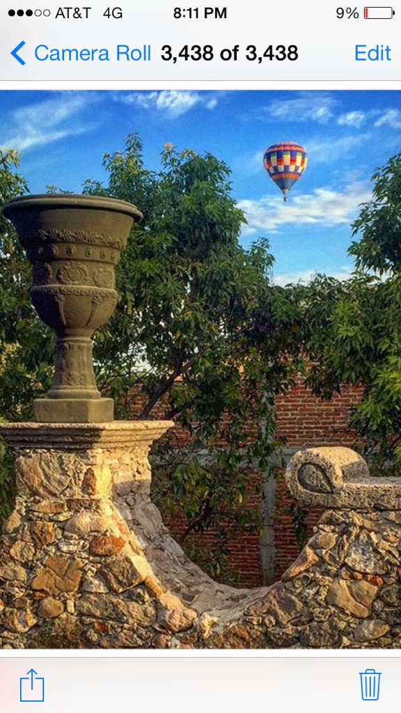 Michelle Nussbaumer tweet media