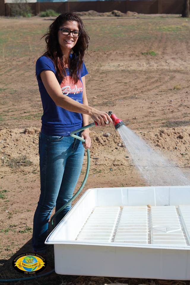 MCC Students work to produce some lettuce at the Roosevelt Center of Sustainability.