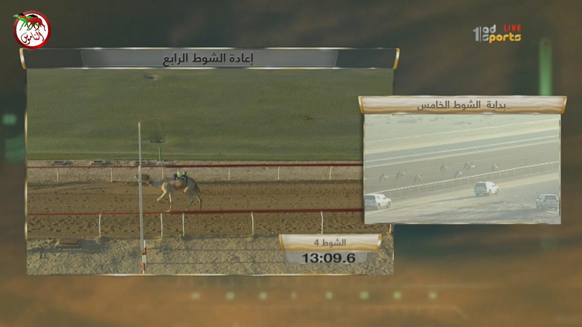 AlnamoosNews's tweet photo. تهانينا و #الناموس لمالك (سيد) صالح حنضل الطلاب الفهيدي الفائز في شوط الزمول المهجنات الرئيسي #الوثبة https://t.co/BseM2LUhuC