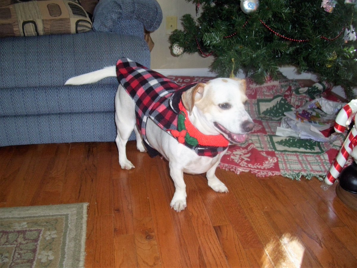 Ready for cold weather