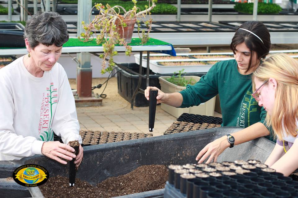 Elena Coulter of Mycogen LLC studies the relationship between fungus &amp; oak trees in the production of truffles.