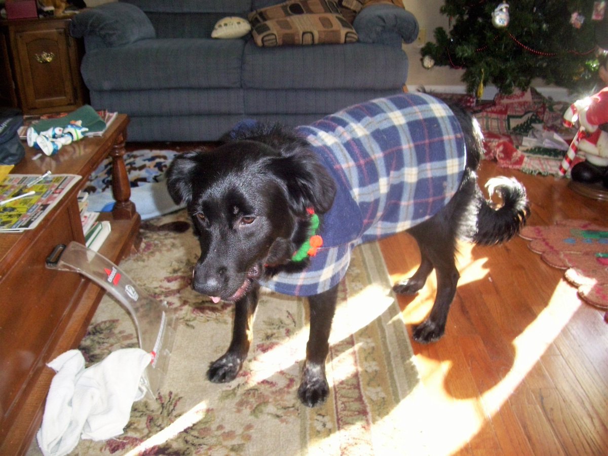 Riley grew so fast she had to wear hand me down coat and Spooky got the new one.