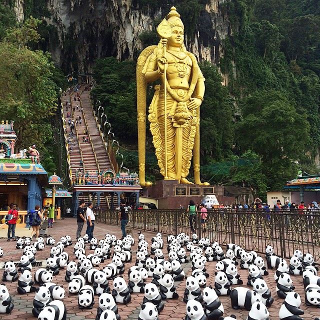 HighWanderlust's tweet photo. #Throwback to #1600pandasMY @ #BatuCaves! #1600Pandas will be landing in #Thailand this year! #1600pandasplusth https://t.co/qD0tVKocRM