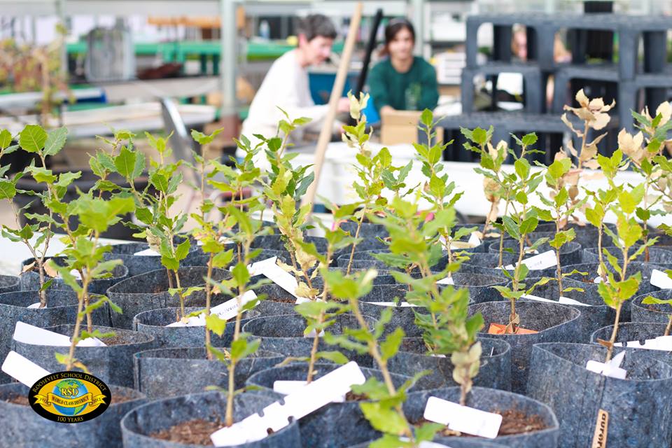 Desert Botanical Garden is kicking off their “Great Milkweed Growout” project.