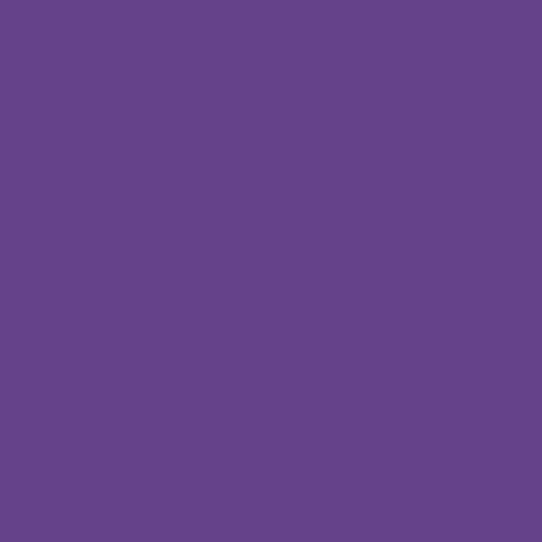 Every Pantone Color Pantone Medium Purple U Rgb 101 66 138 Hsl 269 35 40 a T Co Fx14hf7p7t Twitter