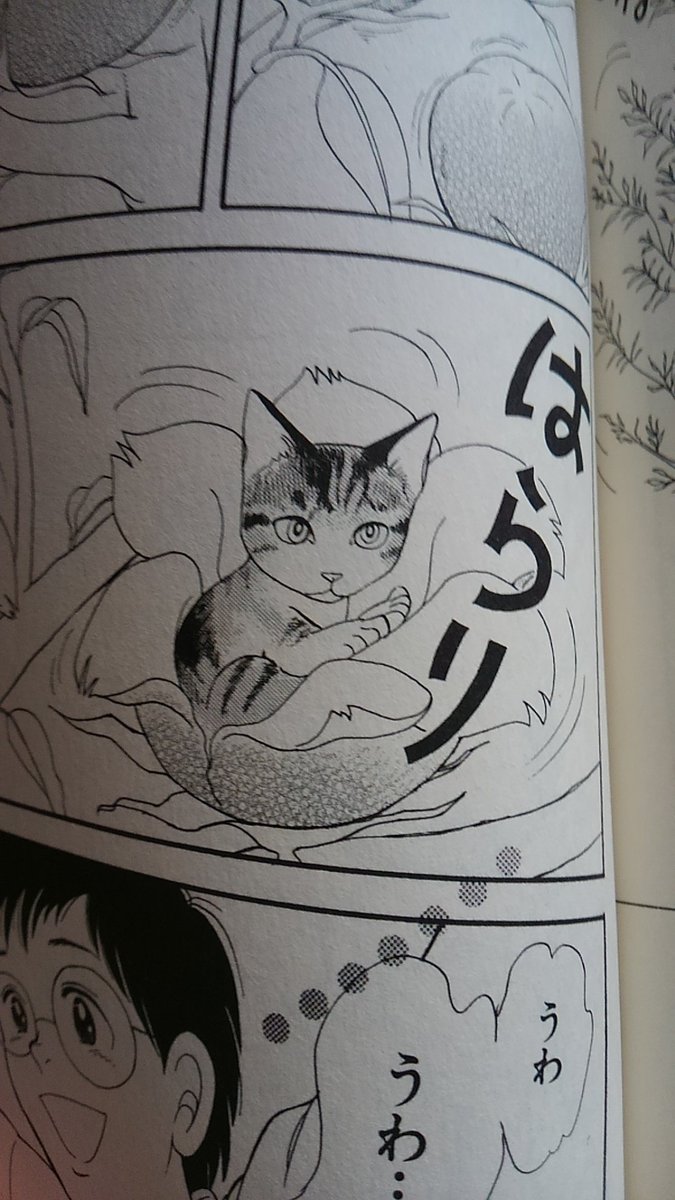 ネコマンガといえば、私の一押しは樹村みのり作「猫の木」! 
