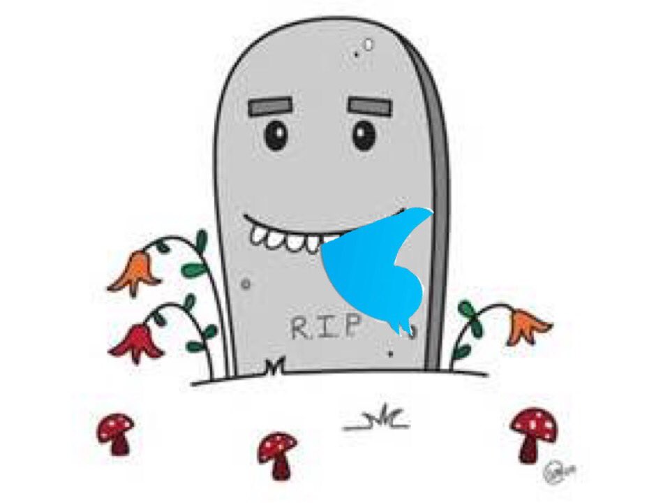 rip twitter video to mp4 rip twitter video to mp4