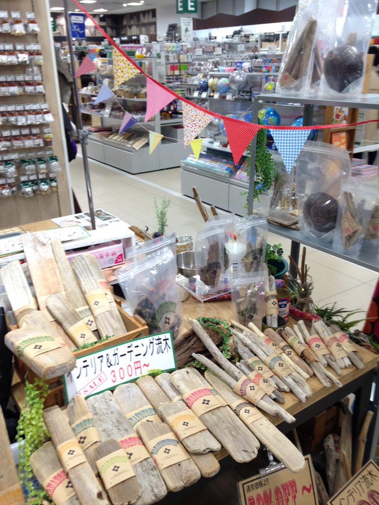 ハナゾノハウスkyoto 只今東急ハンズ京都店さんにて インテリア ガーデニング流木 の販売とワークショップを開催中です 本日はエアプランツの販売もございます 朝のうちに売切れましたが只今入荷しましたよ お待ちしております T Co