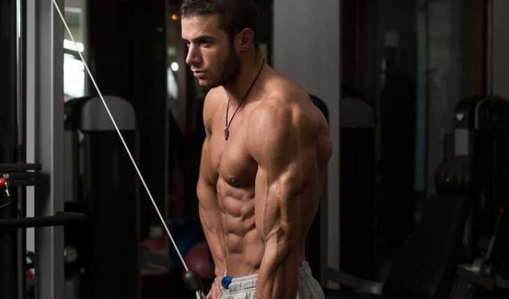 xFitnessAddict's tweet image. The 10 Best Muscle-Building Triceps Exercises!!
workouttips.net/the-10-best-mu…