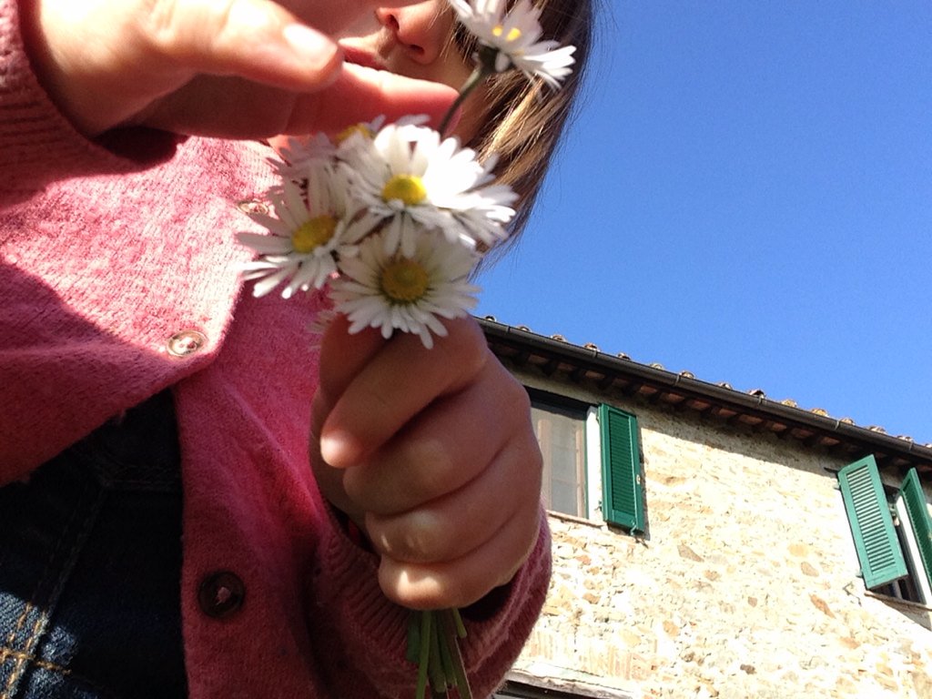 mammedilucca's tweet photo. Buon fine settimana! A Lucca oggi sole, freddo e margherite https://t.co/za1mnfcVZW