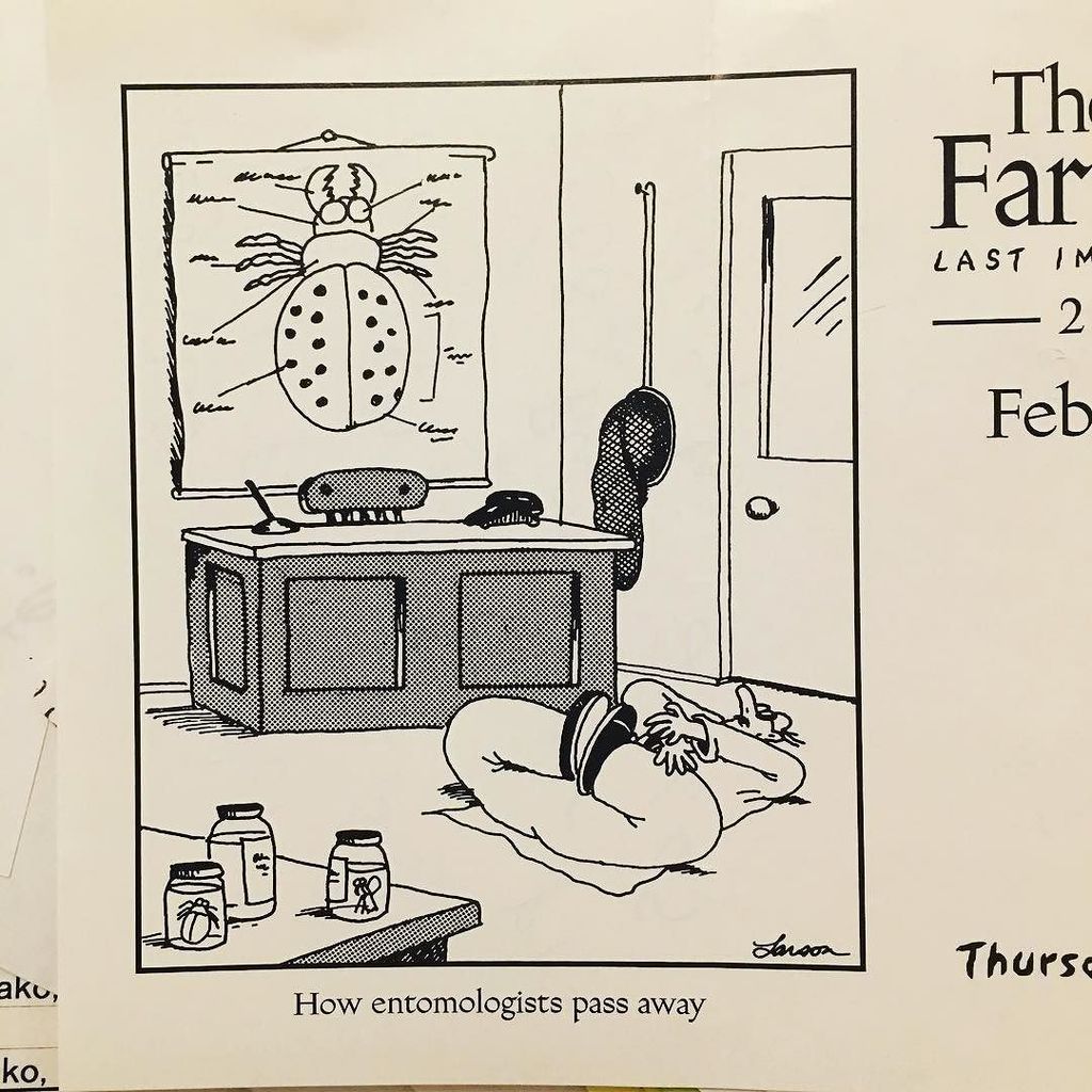 MyTwoYen's tweet photo. How entomologists pass away #forensichumor https://t.co/MMlkQq9z1G https://t.co/uhX4Nvuv7j