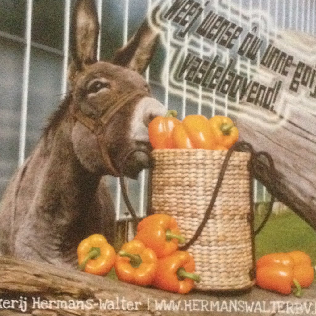 Fijne vastelaovend..Alaaf!!