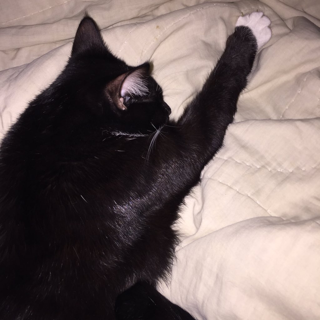 ChelseaRiot's tweet photo. Goodnight. https://t.co/c2joHmPUcG