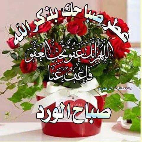 خضر (@khodorsheikhali) on Twitter photo 