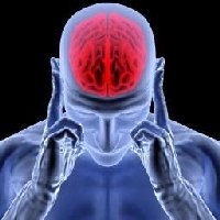 coolgadgetssite's tweet image. #Blog #cellphonetips #cellphones #compareprices #completelydies Expert Cell Phone Advice… dlvr.it/KQz7Fs