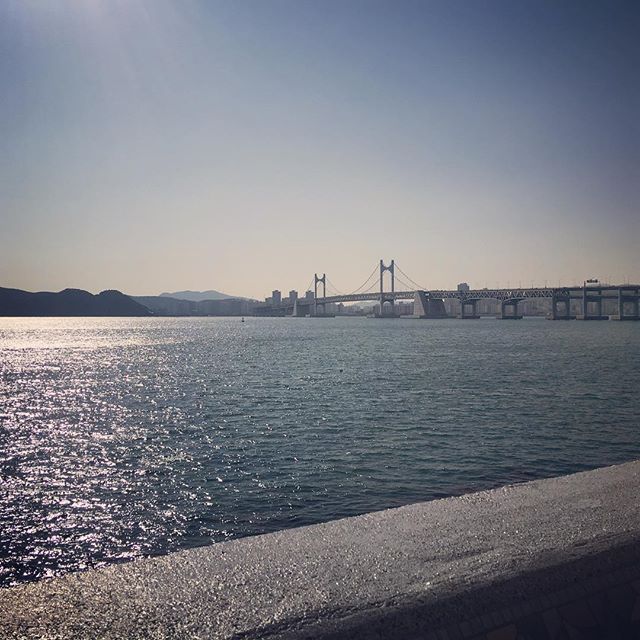 埋め込み画像への固定リンク
