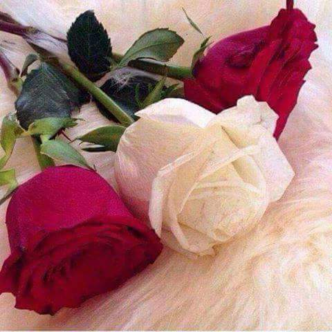 altryty1's tweet photo. https://t.co/3PJRGyeVLX