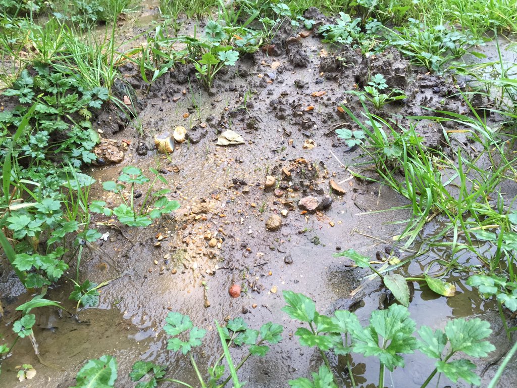 So many people asking about the condition of the pitch and weather. 

Here... Now I'm going back to bed!!