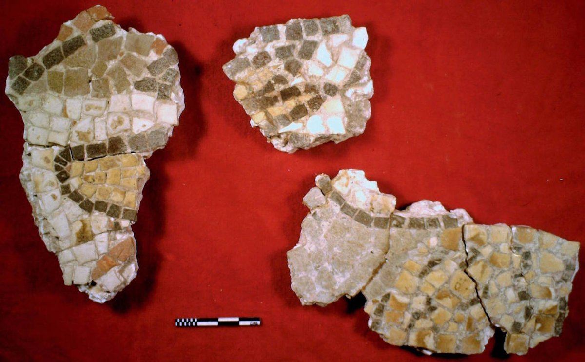 CarolineLawrenc's tweet photo. Fragments of mosaic (depicting a hunting dog) from Roman villa at Bishopstone nr Swindon Wilts, via Bernard Phillips https://t.co/4Zc3A8AkeU