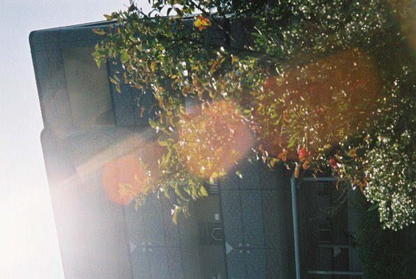 k_taku0531's tweet photo. #coregraghy #photography  #photo #takuphoto #camera #canonet #sun #shadow #fiimcamera #風景 https://t.co/HJIWrYmVQh
