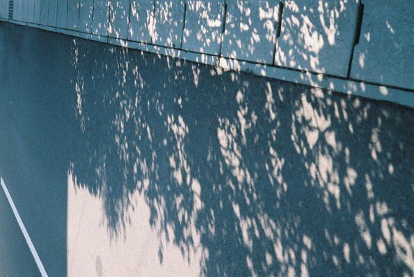 k_taku0531's tweet photo. #coregraghy #photography  #photo #takuphoto #camera #canonet #sun #shadow #fiimcamera #風景 https://t.co/HJIWrYmVQh