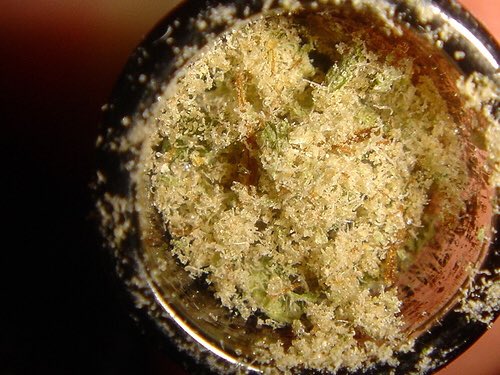Finest_420's tweet photo. #kief #bowl #weed #stoner #stoned #getlifted #stayhigh https://t.co/ha9ScsPMzf