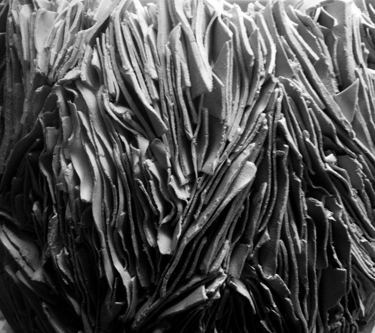 Olivia Walker tweet media