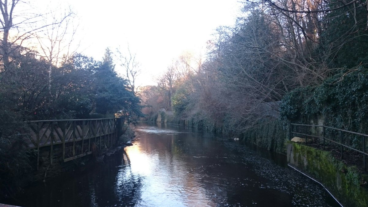 AJEMSelfCat's tweet image. The beautiful Water of Leith #Edinburgh