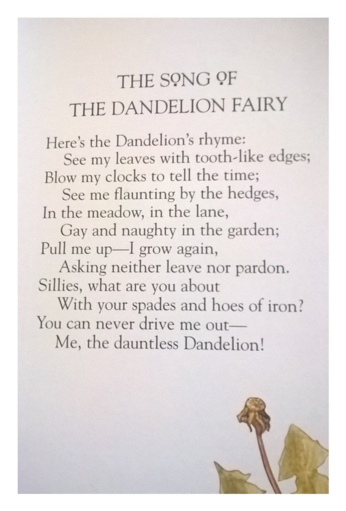 DebCavanagh's tweet photo. @TheMontyDon the song of the pesky dandelion fairy... https://t.co/M0amrqHnMJ