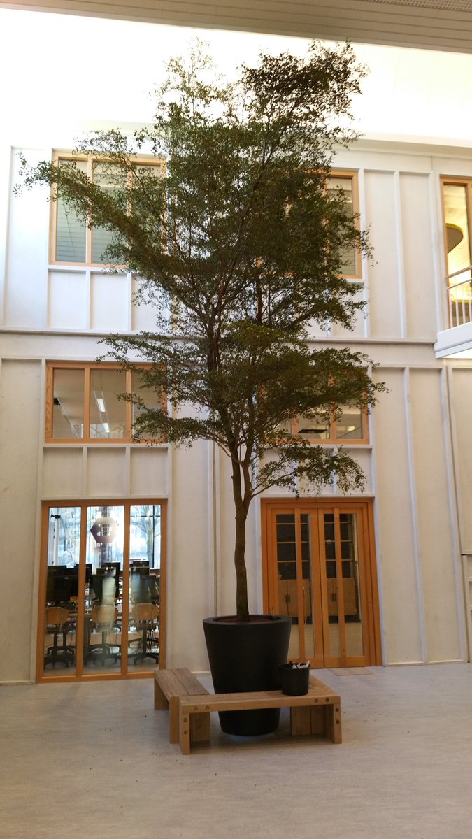 Voor uw mooiste project in-en exterieurbeplanting potten en accesoires gardani.nl  #voordeligst