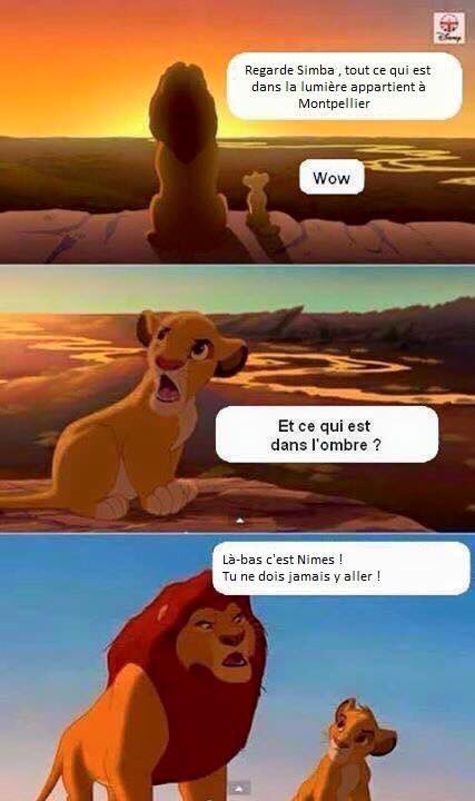 PhrasesDeMTP's tweet photo. "La lumière appartient à Montpellier." https://t.co/VrI35sXgsY