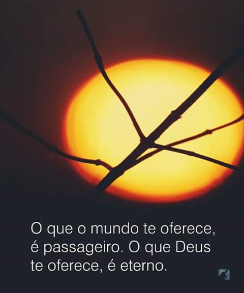 EDSON ELIAS TIMBETA (@edsonelias352) on Twitter photo 